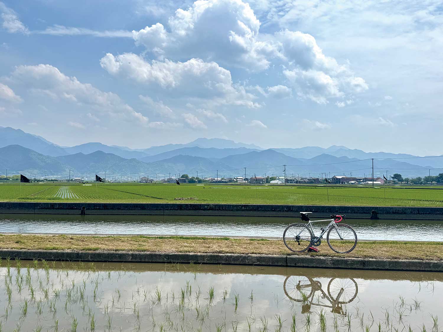画像：サイクルフォトコンテスト
